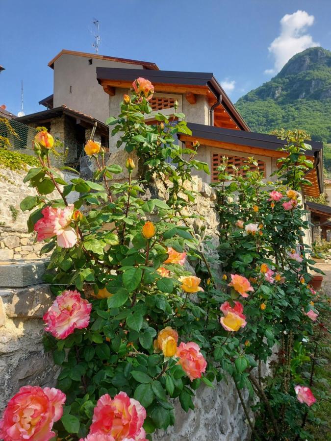 Our Happy Place - Casa Vacanze Per Il Viaggiatore Slow Mandello del Lario Exterior foto